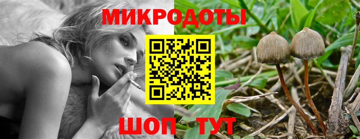 Галлюциногенные грибы Psilocybe  Вход с VPN  Рославль  Псилоцибиновые грибы MAGIC MUSHROOMS 